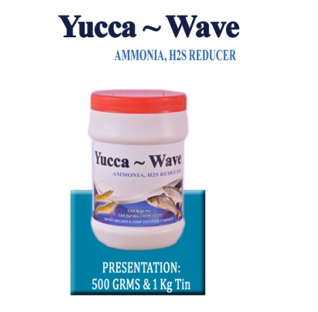 Yucca WAVE - (Yucca പൗഡർ) - അമോണിയ രെദുചെര്